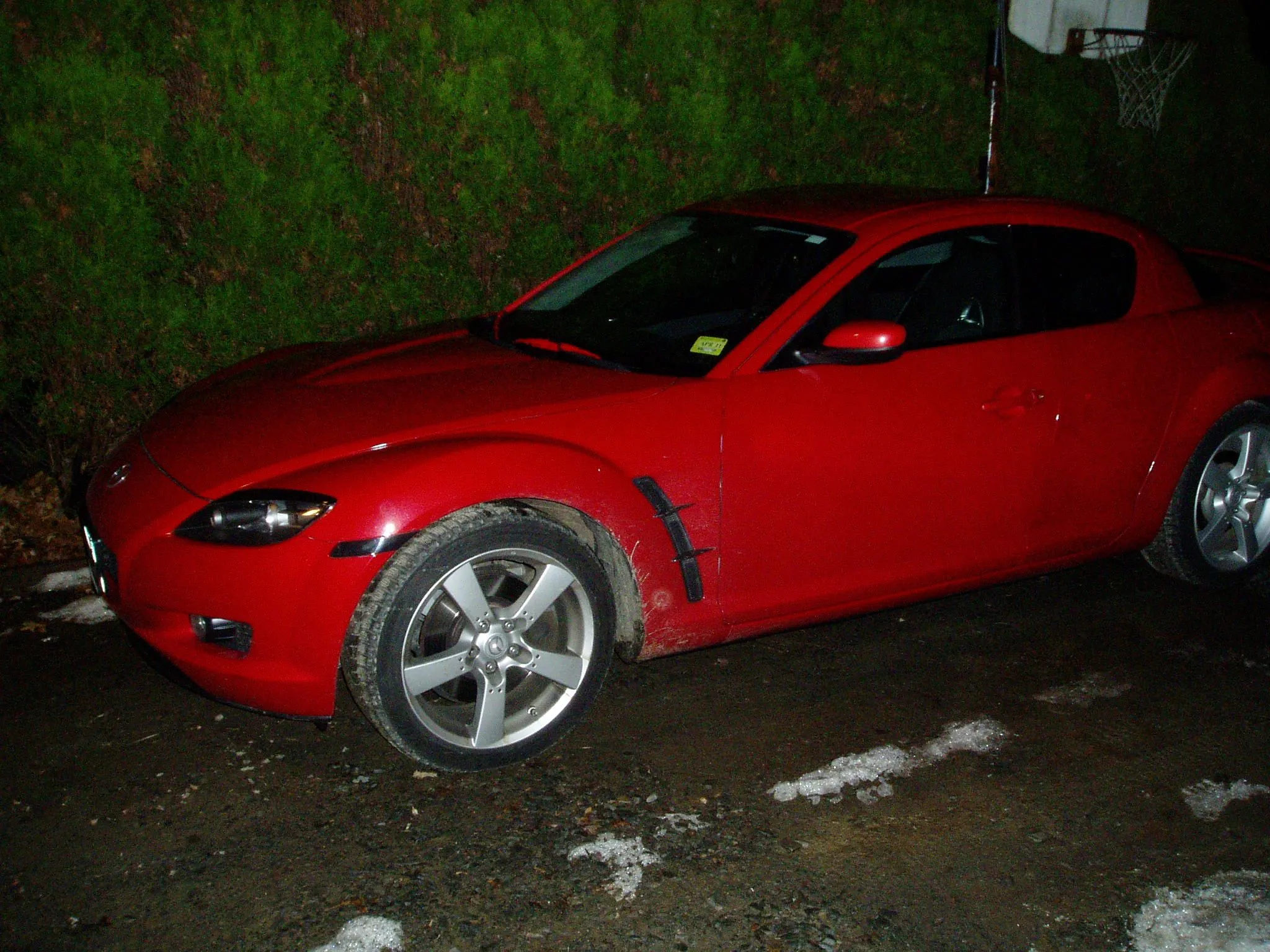P1010046.webp