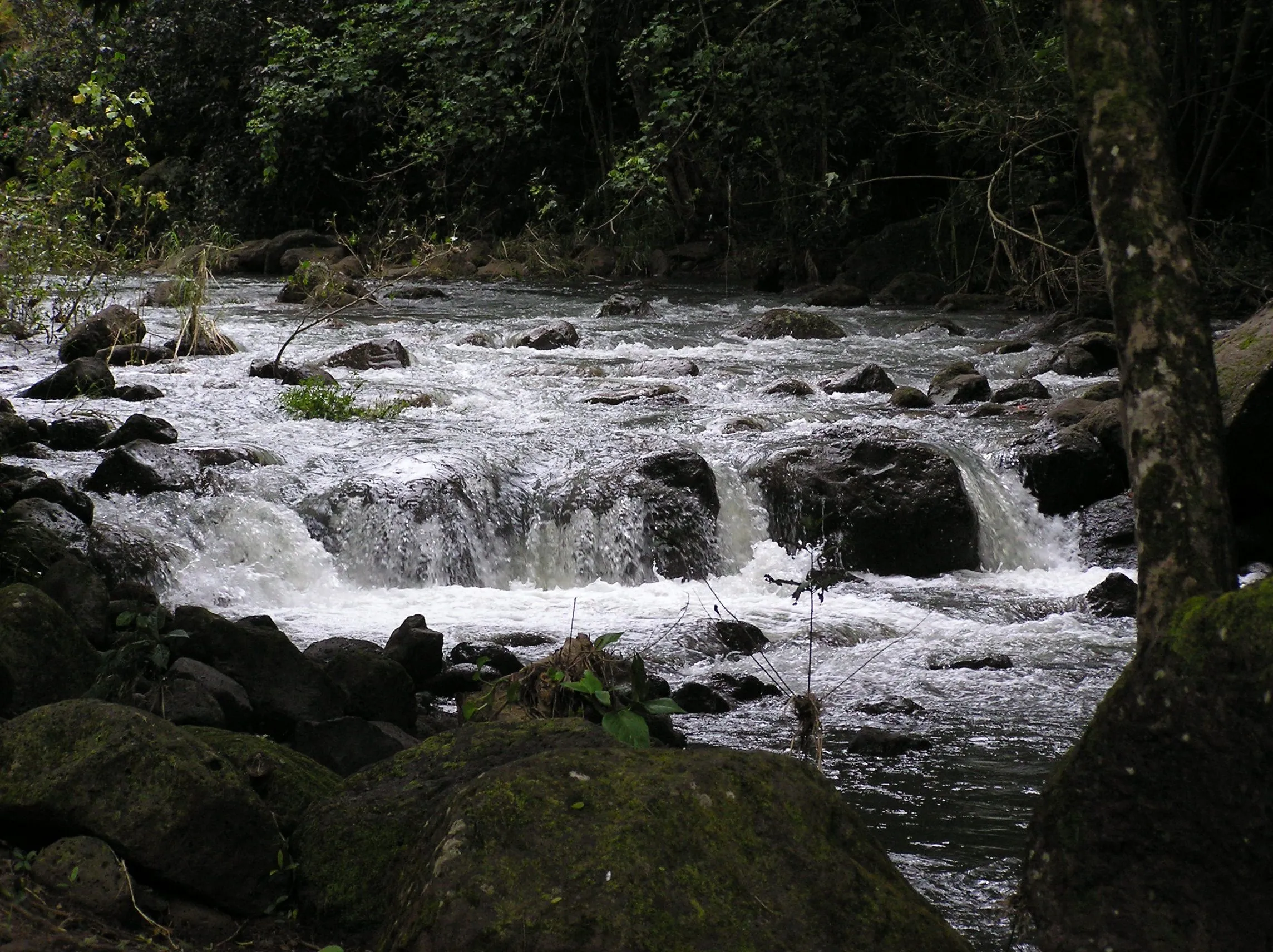P1010091.webp