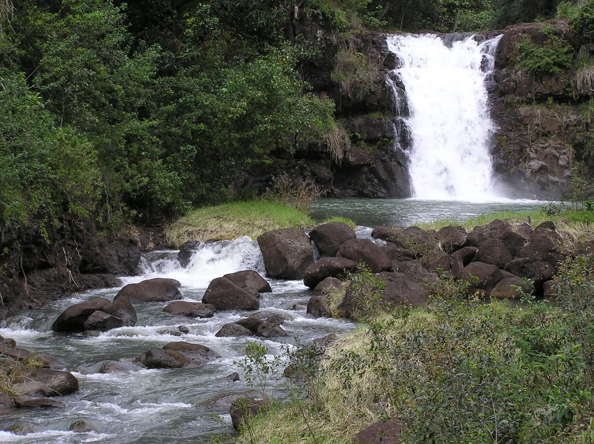 P1010103.webp