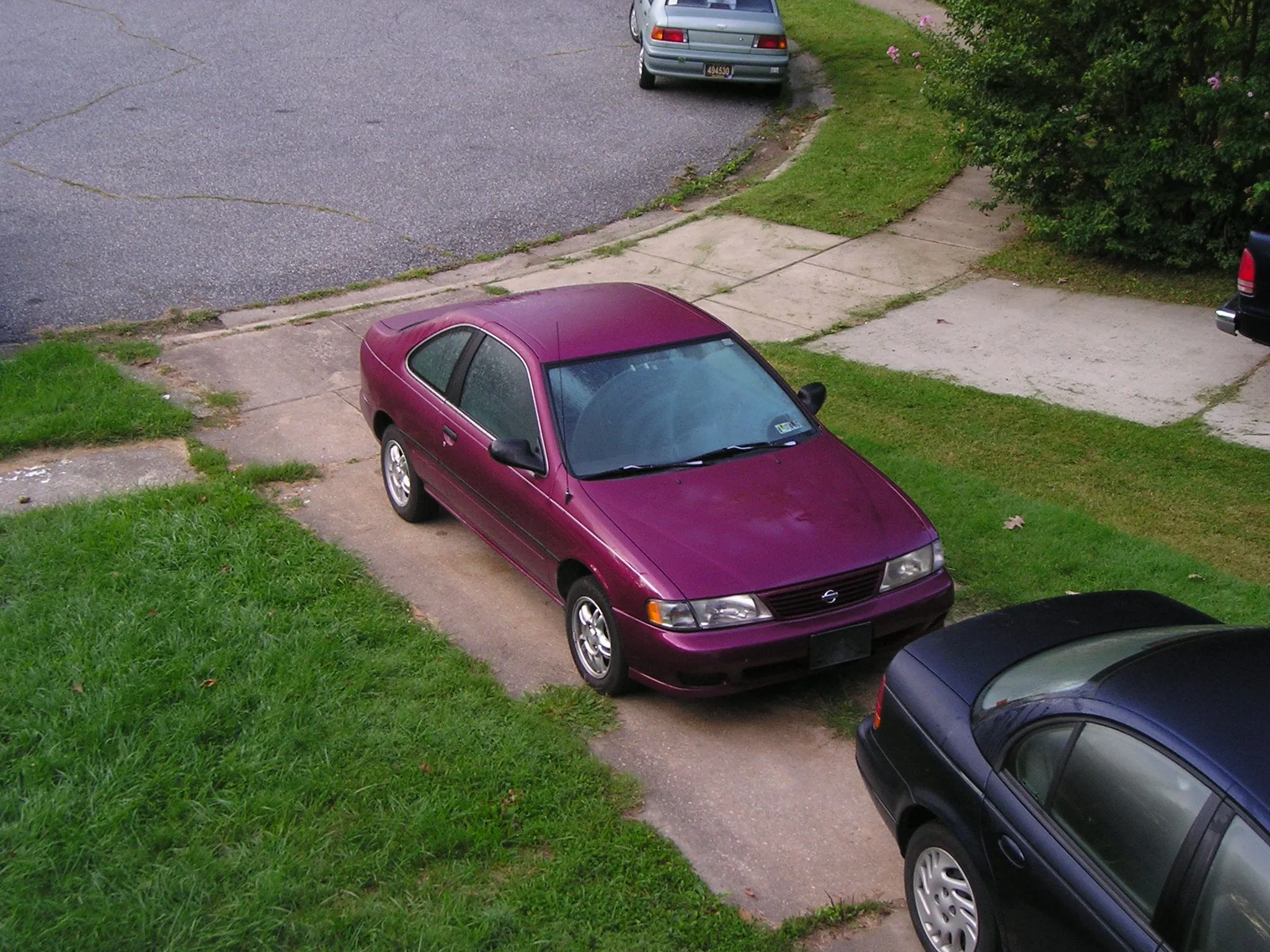 P1010288.webp