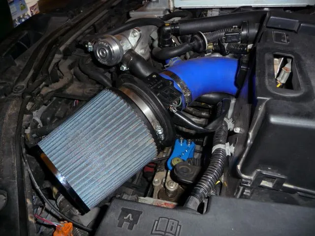 P1010293.JPG