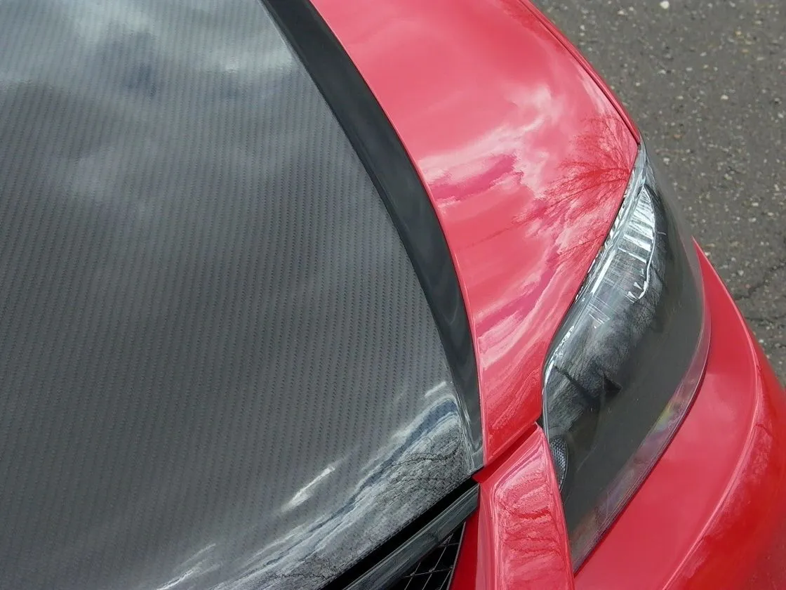 P1030590.webp