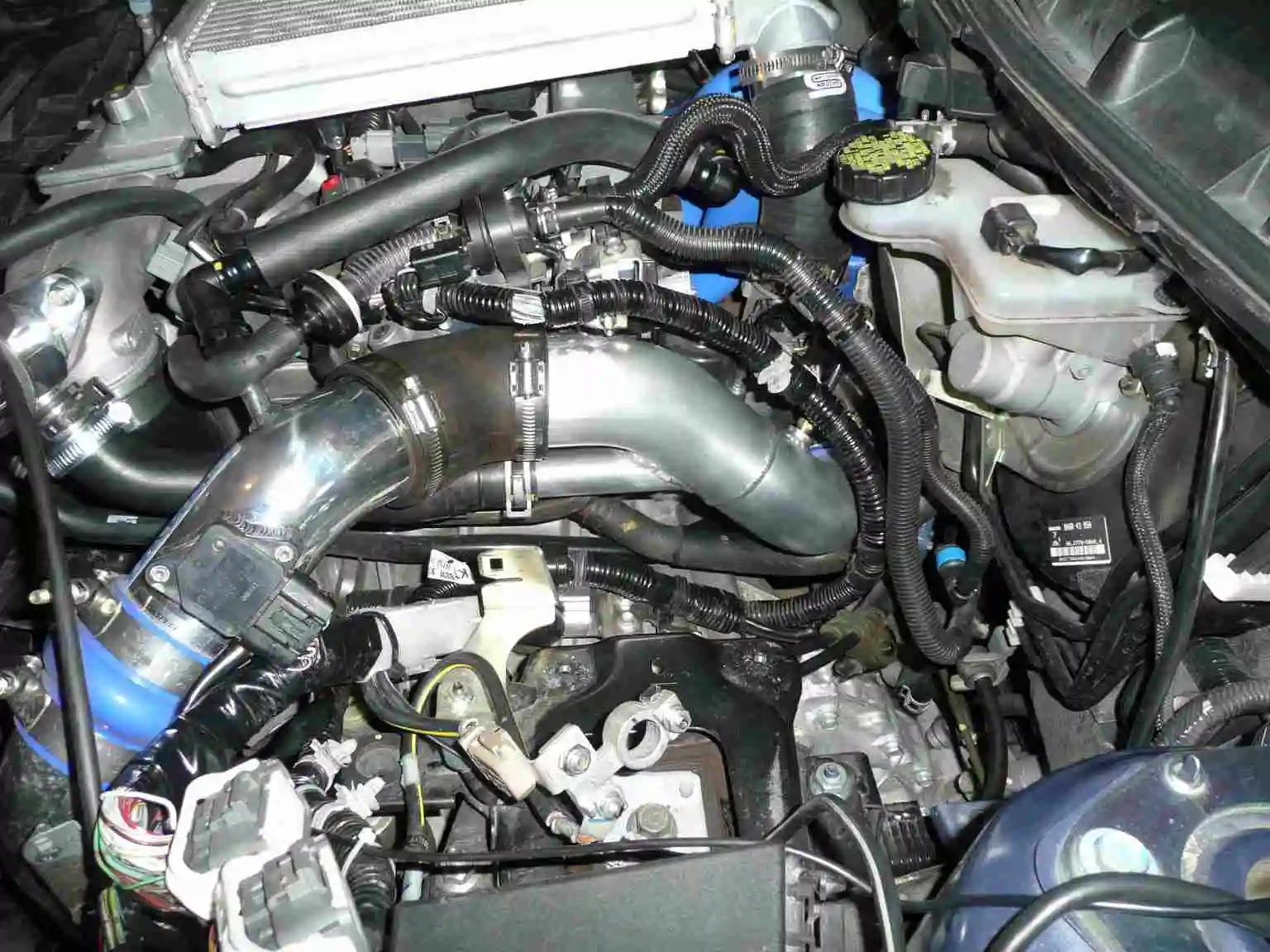 P1030896_lowres.jpg