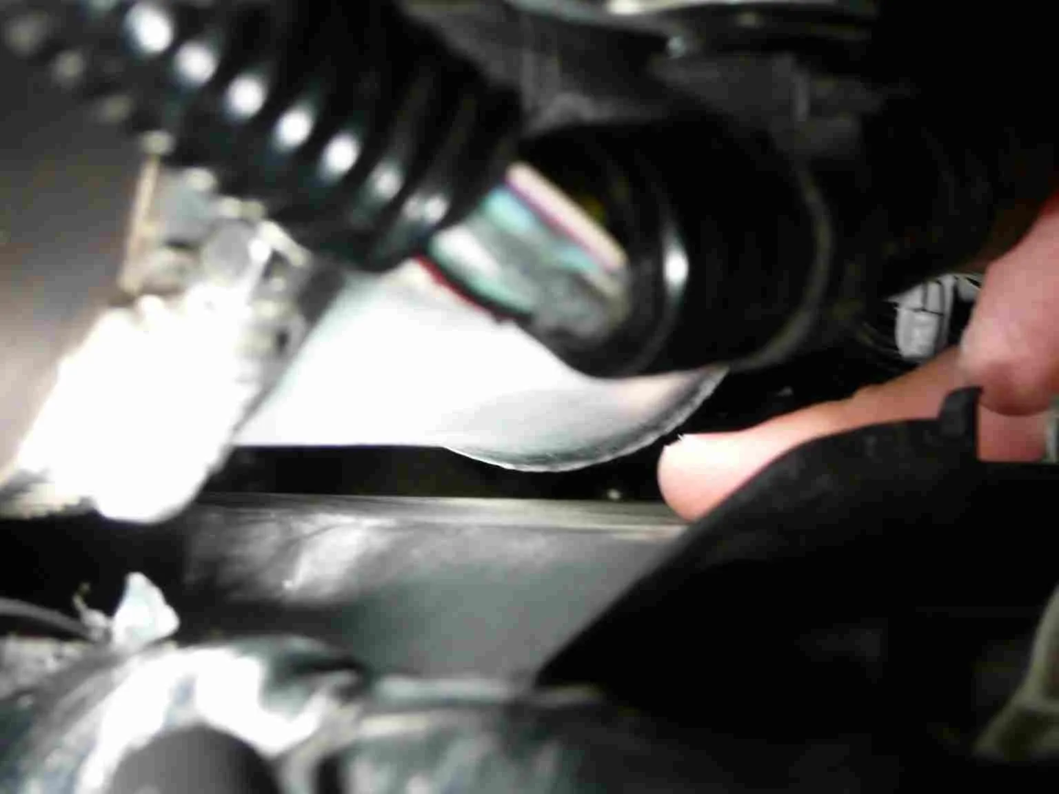 P1030916_lowres.jpg