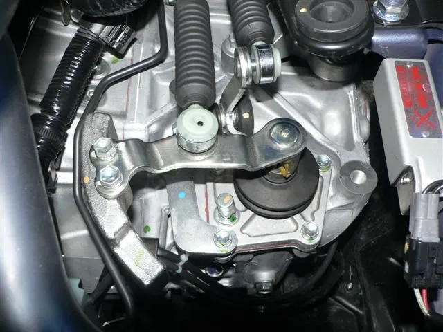 P1040264 (Small).JPG