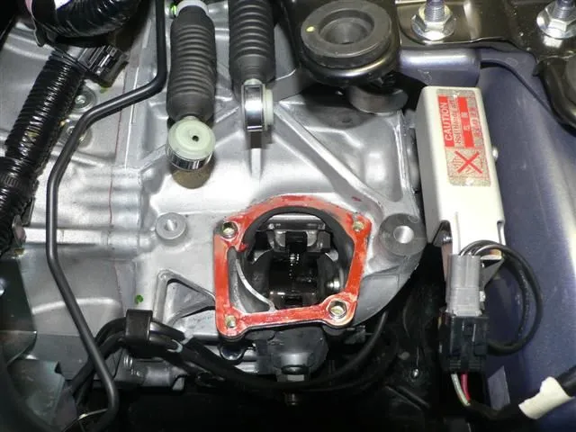 P1040280 (Small).JPG