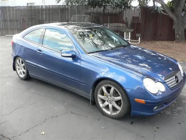 P1040683 (Small).JPG