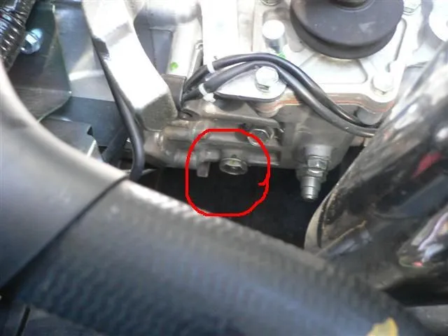 P1050176 (Small).JPG