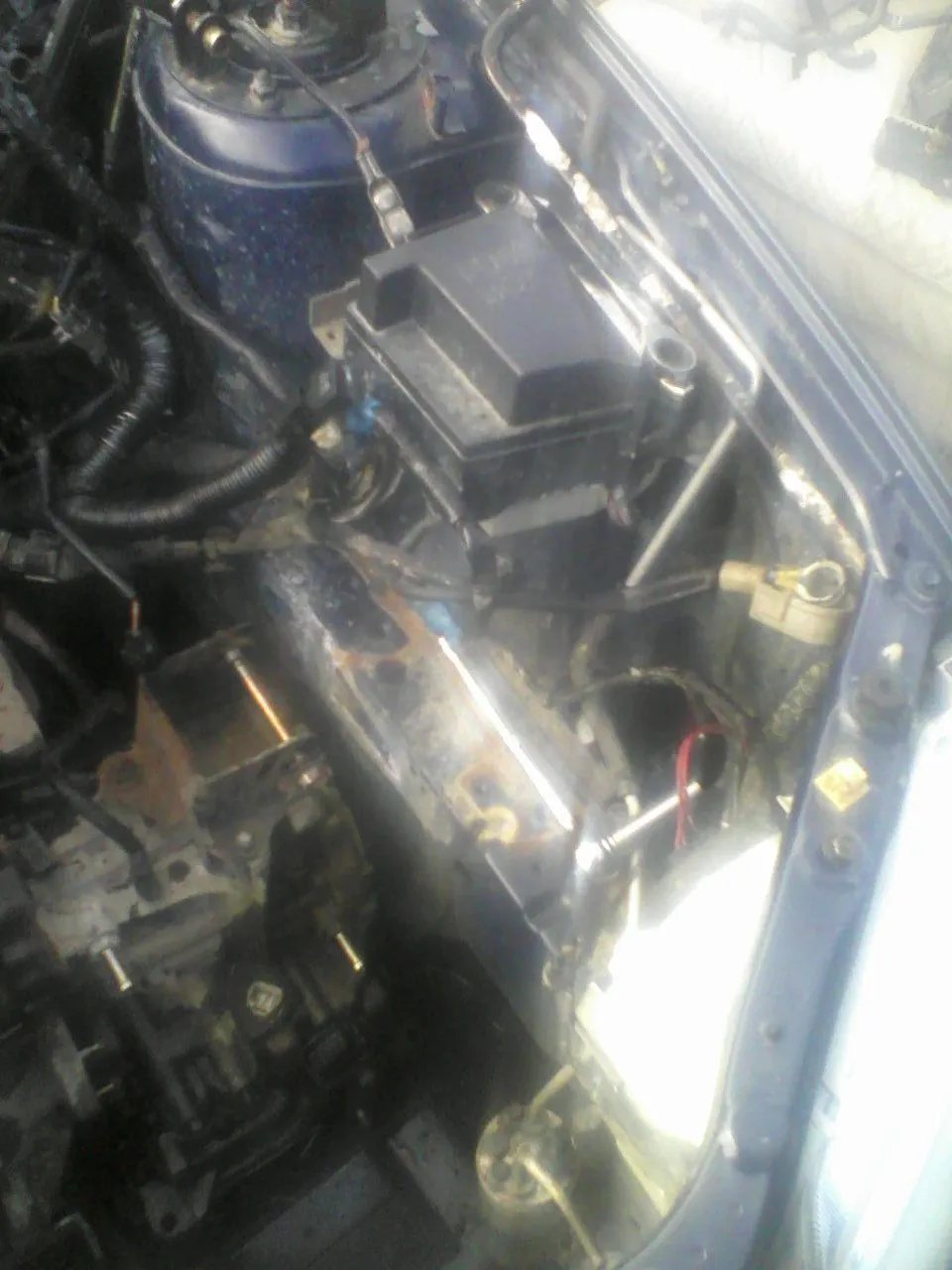 P11-27-10_14.03.jpg