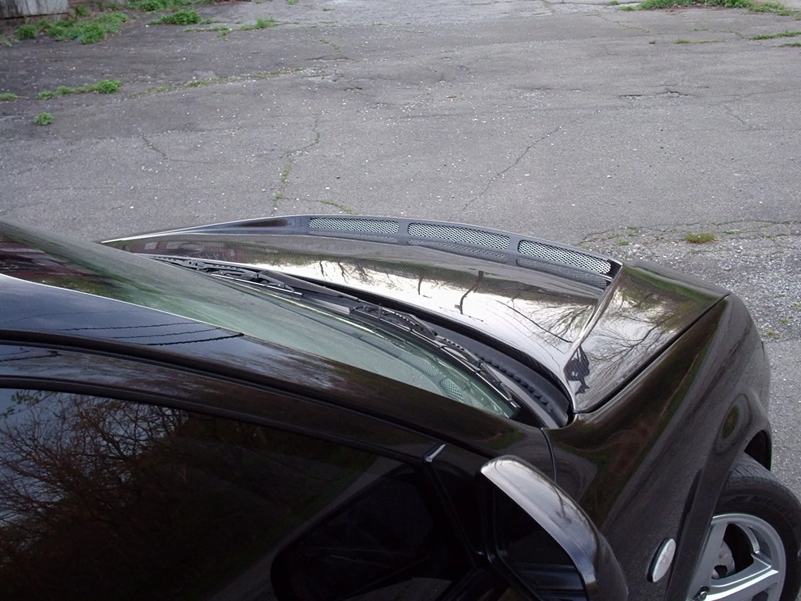 P2010010.webp