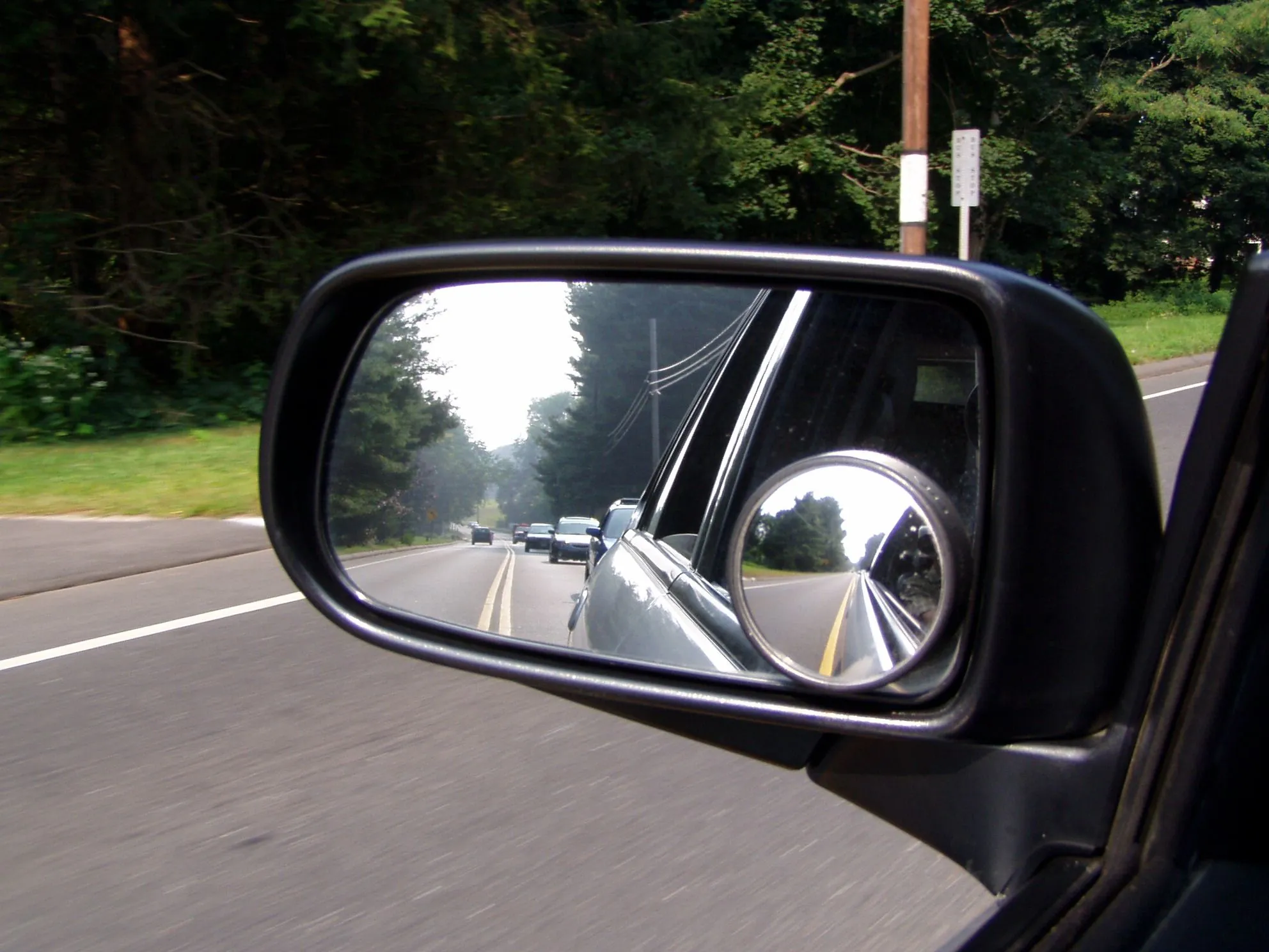 P3240010.webp