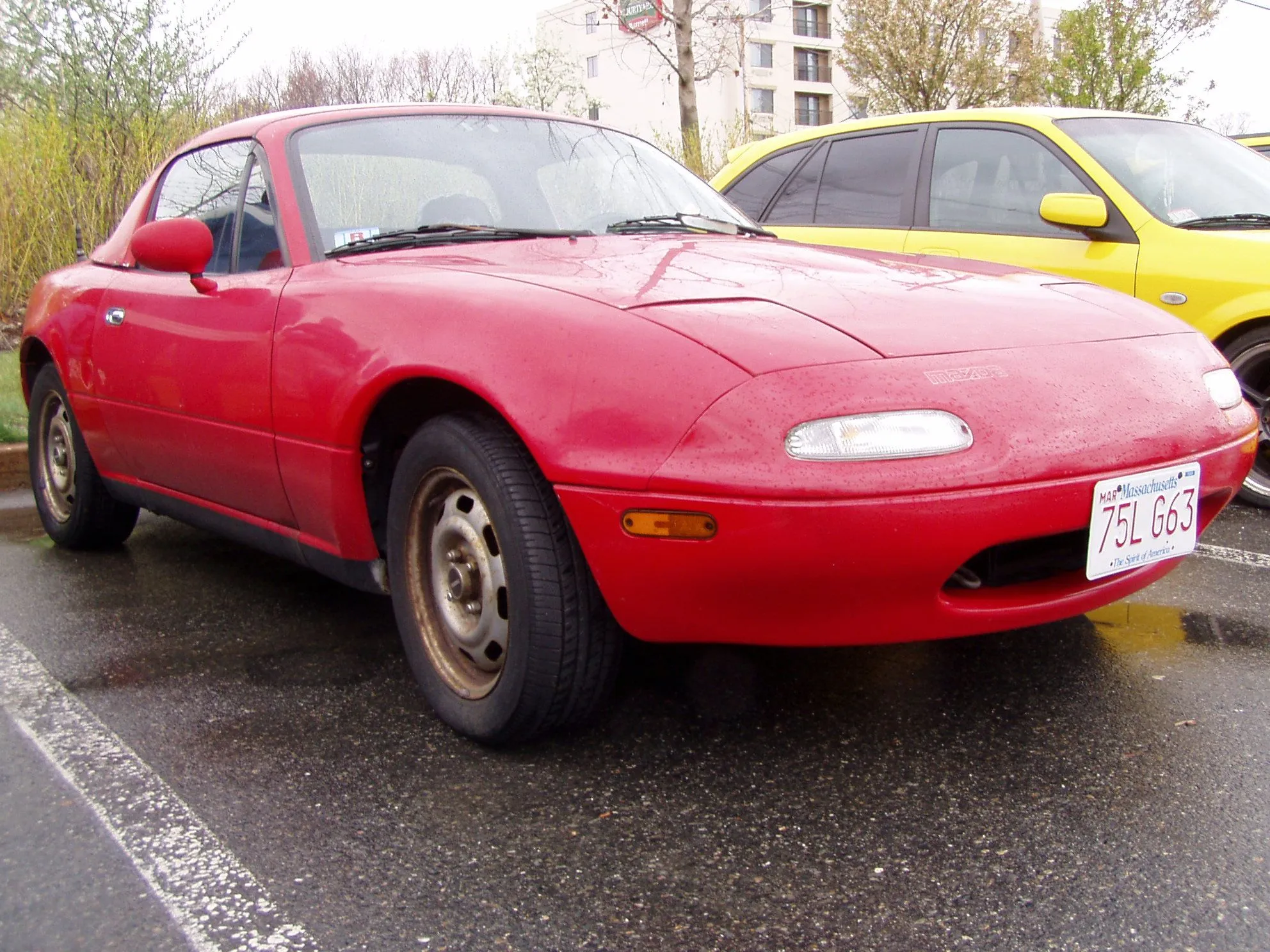 P4220047.webp