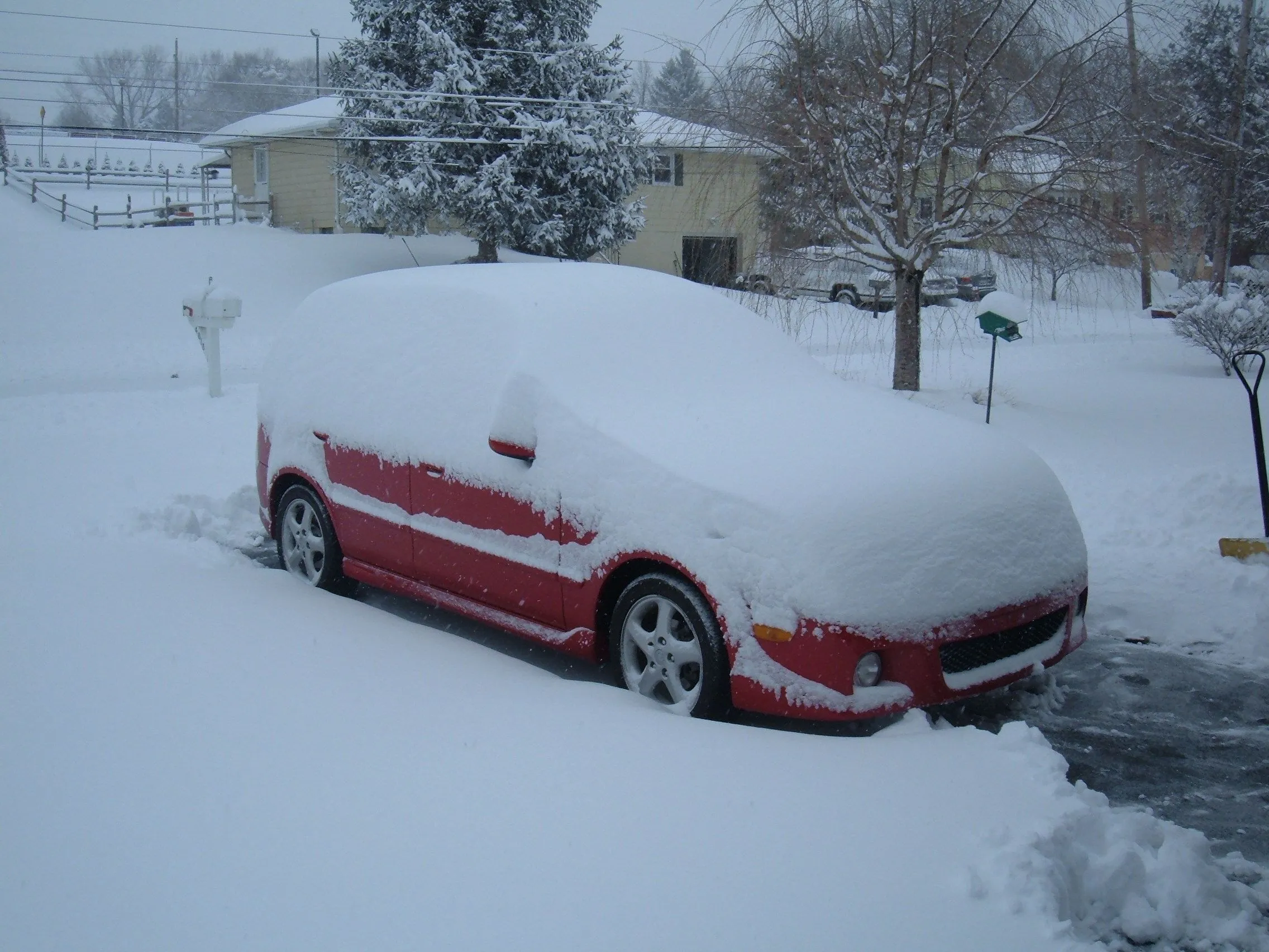 P5 - 8.5 Inches of Snow1.JPG