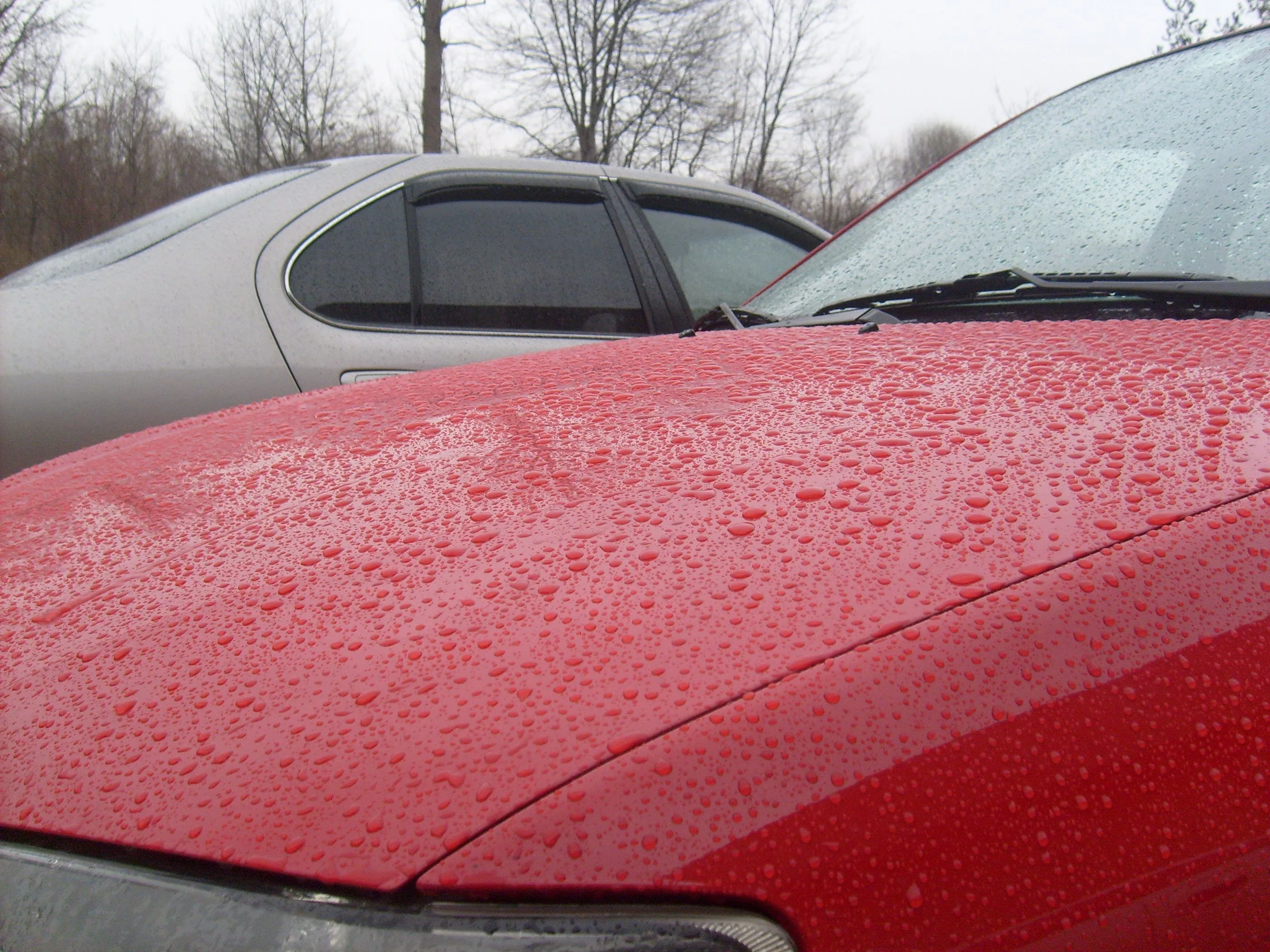 P5 - Bead Jan 29 2008.webp