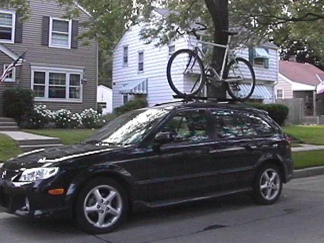 p5 rack_03.jpg
