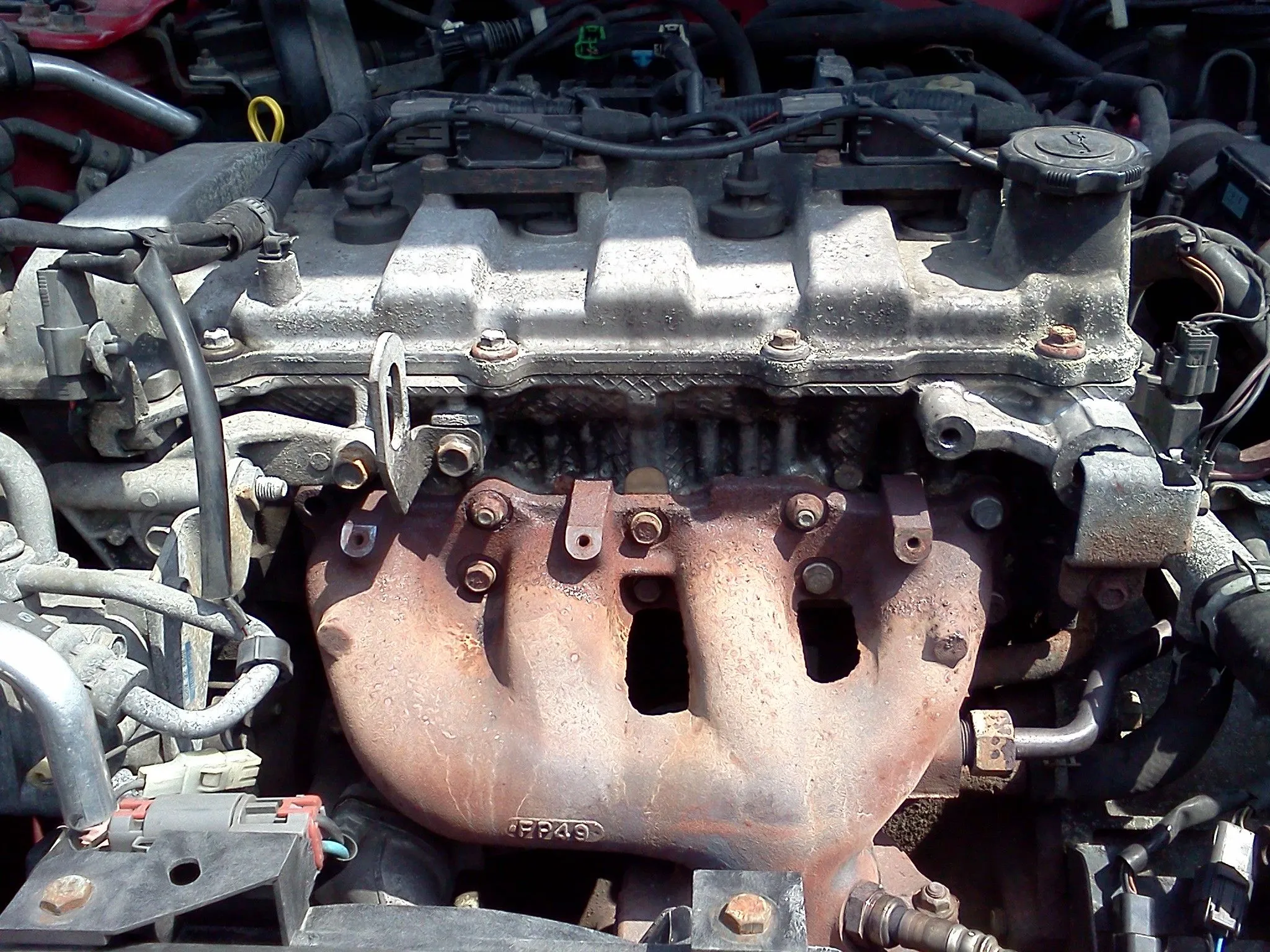 P5 - Should Woulda Coulda.jpg