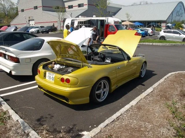 P5022531 [640x480].webp