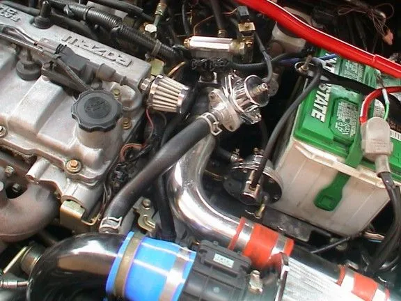 P515.jpg