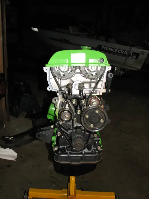 p53.gif