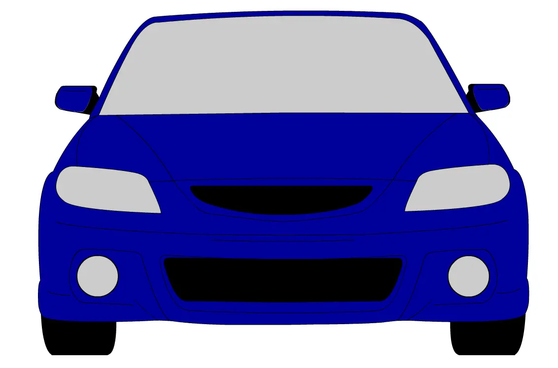 p5_vector2.webp