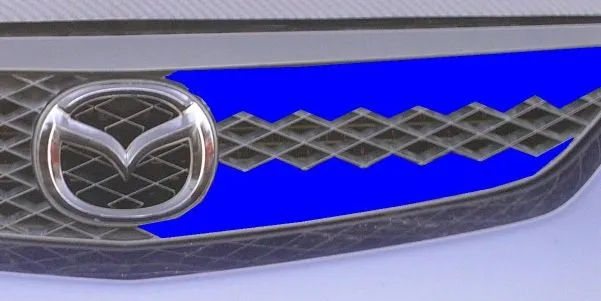 P5grill-blued.webp