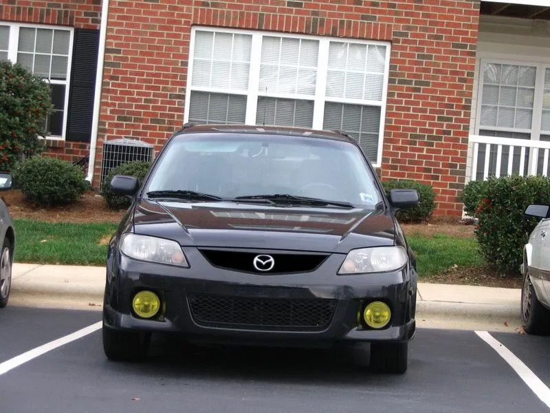 P5nose1.webp