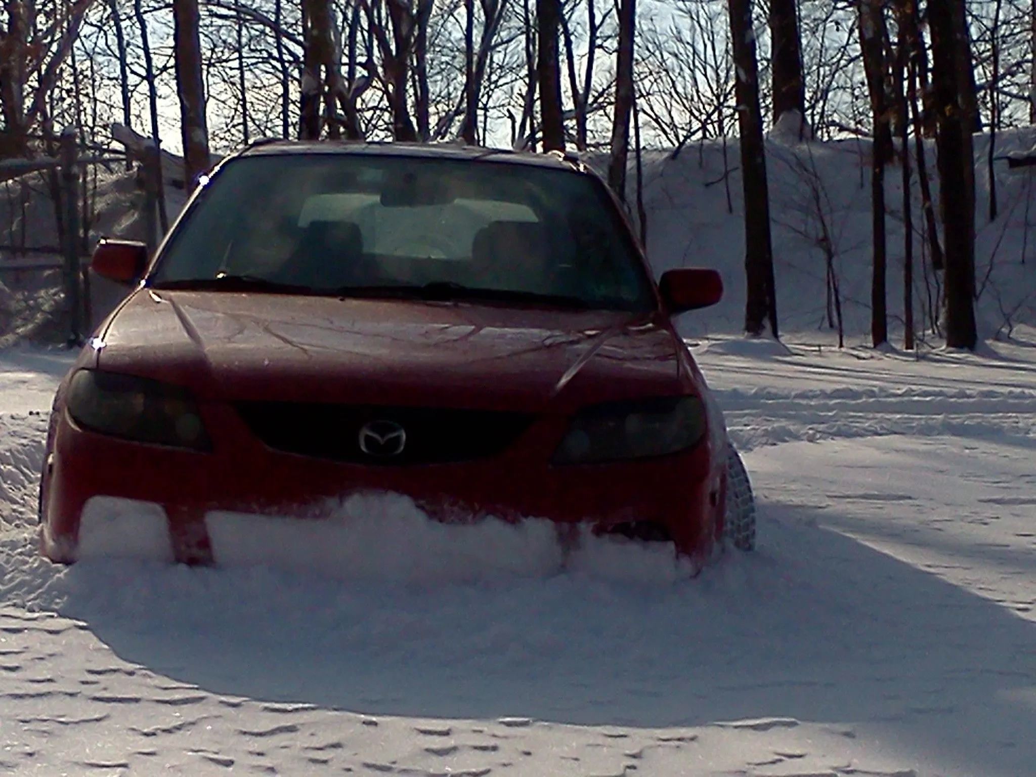P5snow1.jpg