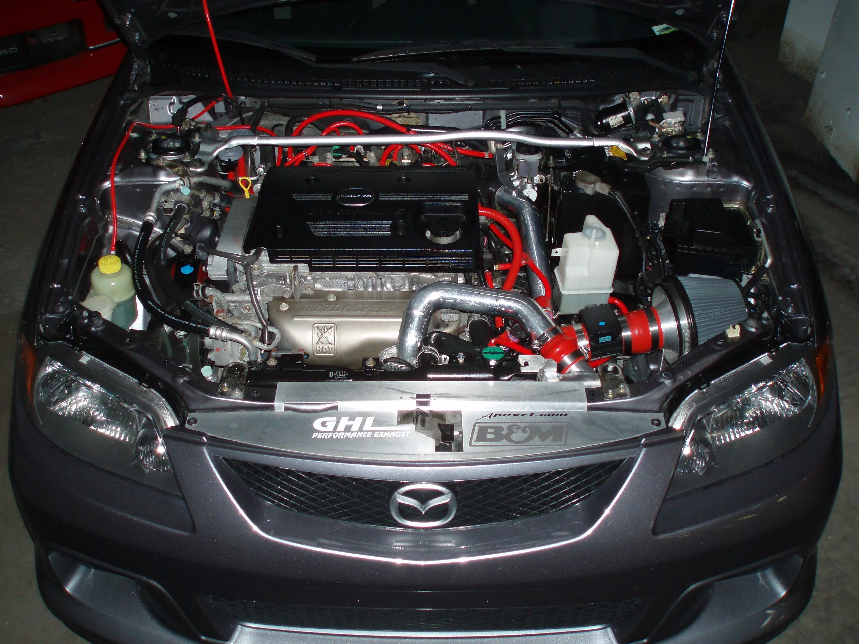 P7300525.webp