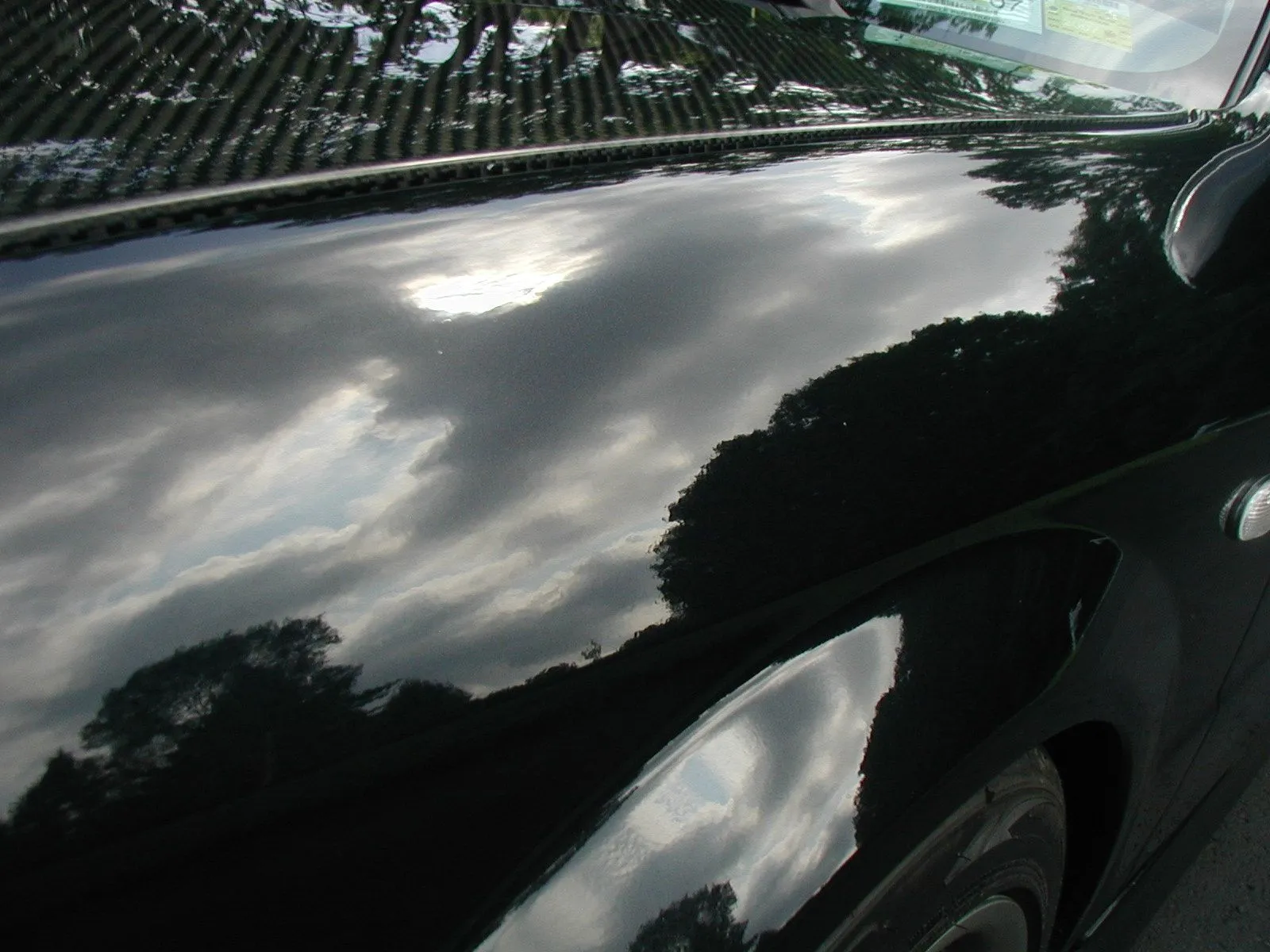 P8070280.webp
