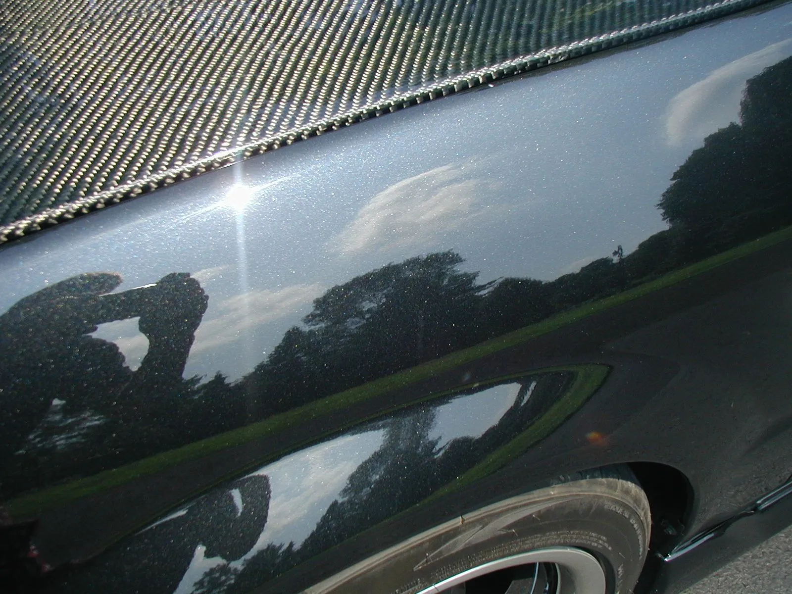 P8070287.webp