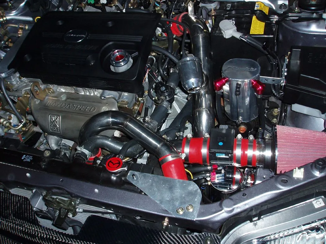 PA190004.webp