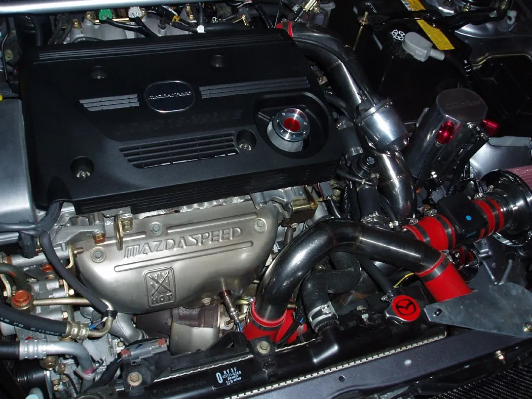 PA190006.webp