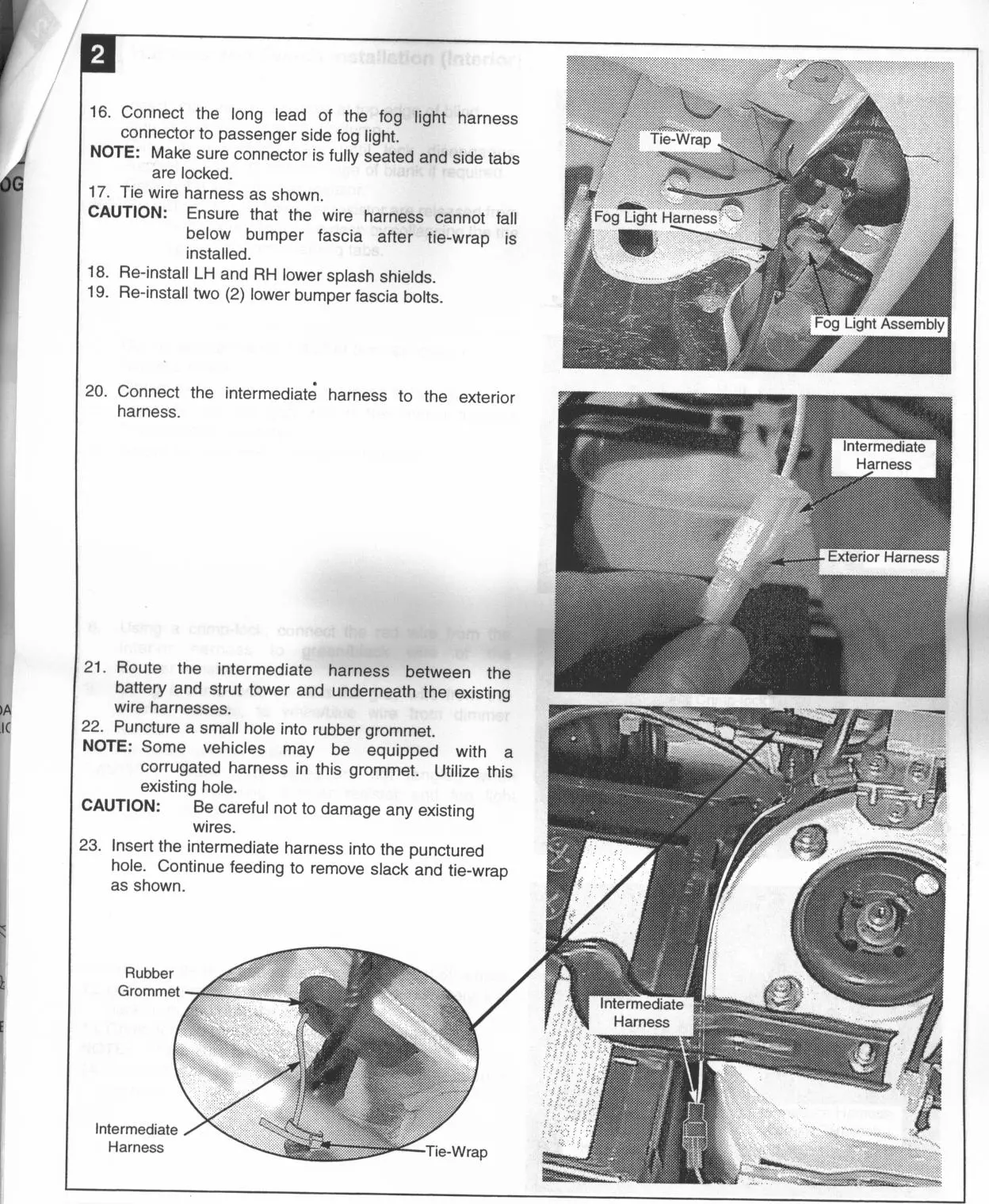 Page 5.jpg