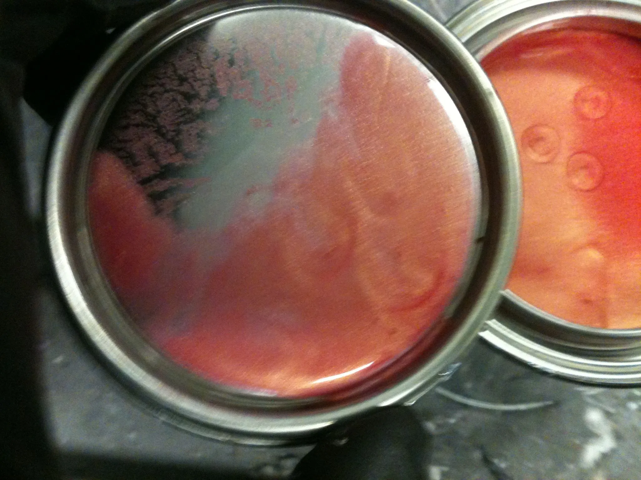 paint.jpeg