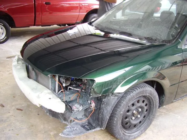 PB300059.JPG