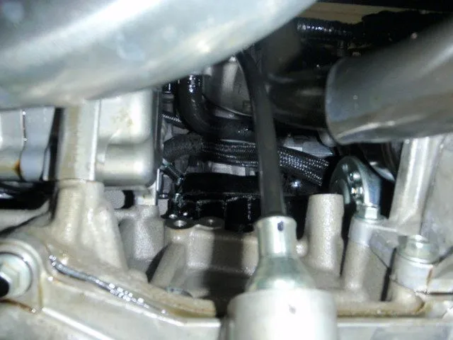 PB300246.JPG