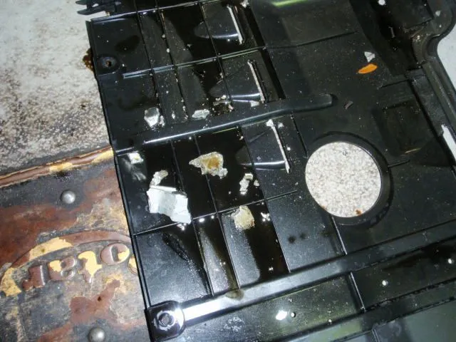 PB300248.JPG