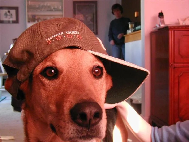 PC030116 (Medium).webp