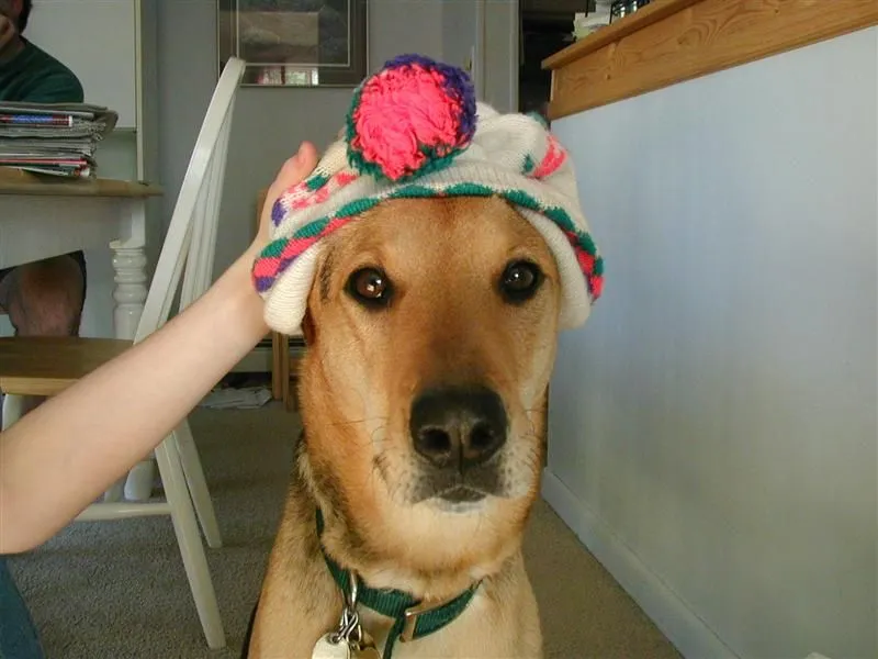 PC030117 (Medium).webp