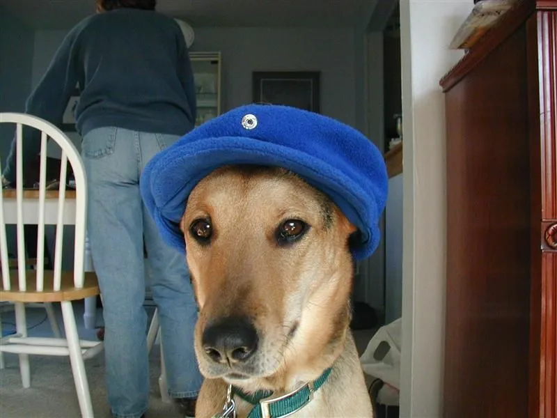 PC030118 (Medium).webp