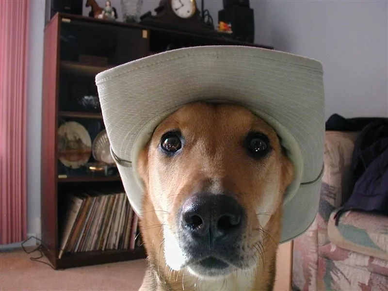 PC030121 (Medium).webp