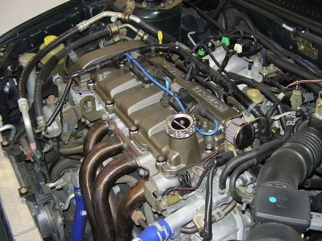 PC060205.JPG