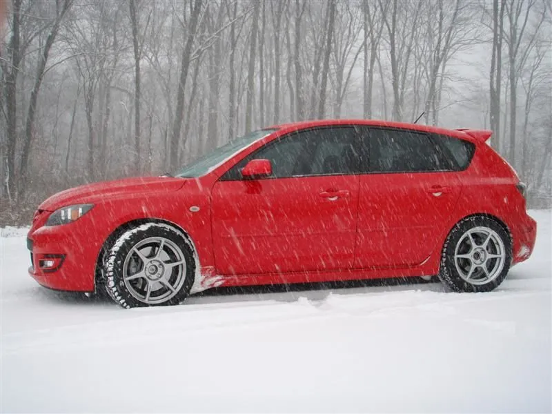 PC130001 (Medium).JPG