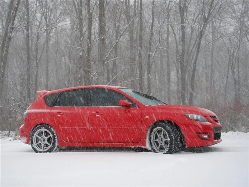 PC130007 (Medium).jpg