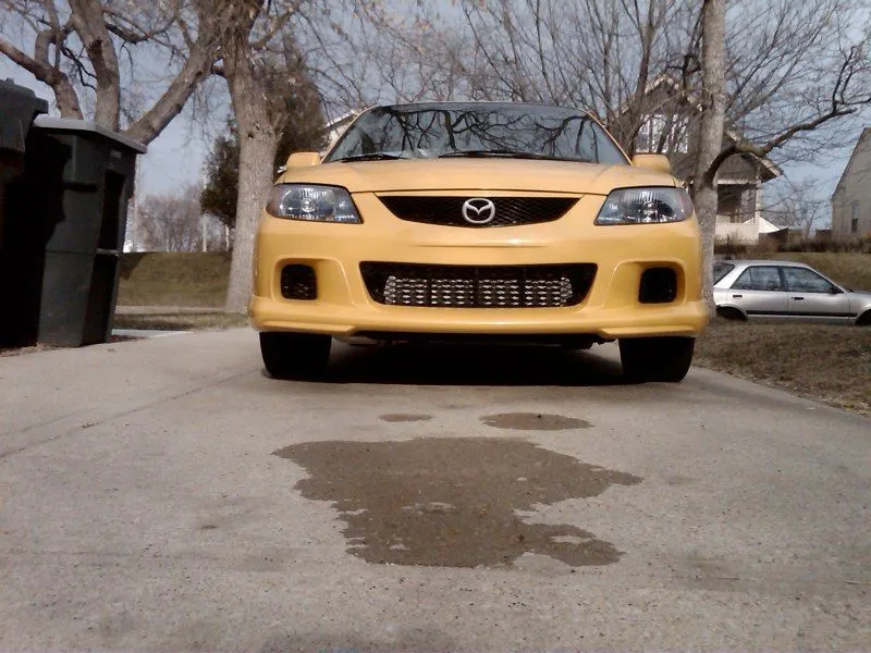 Phone pics 007.jpg