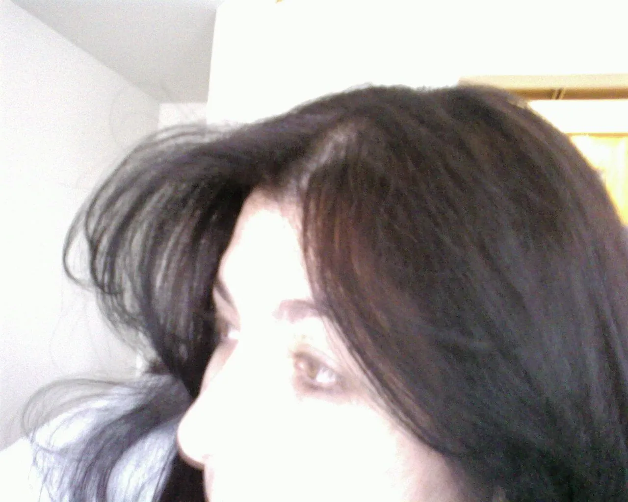 Photo-0001.webp