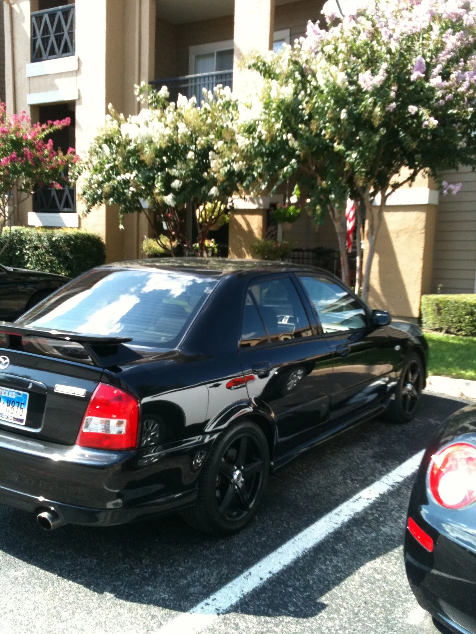 photo(24).webp