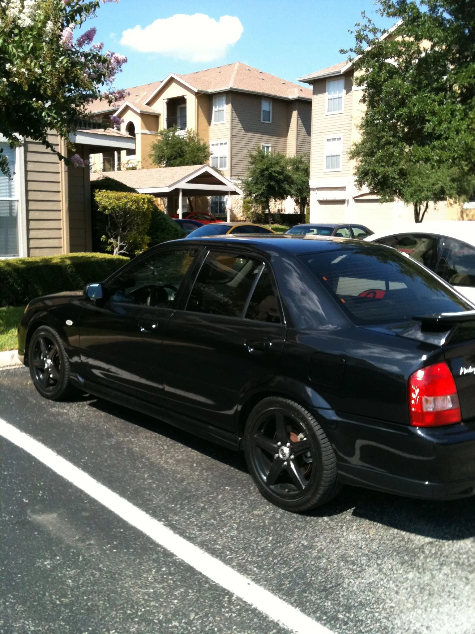 photo(26).webp