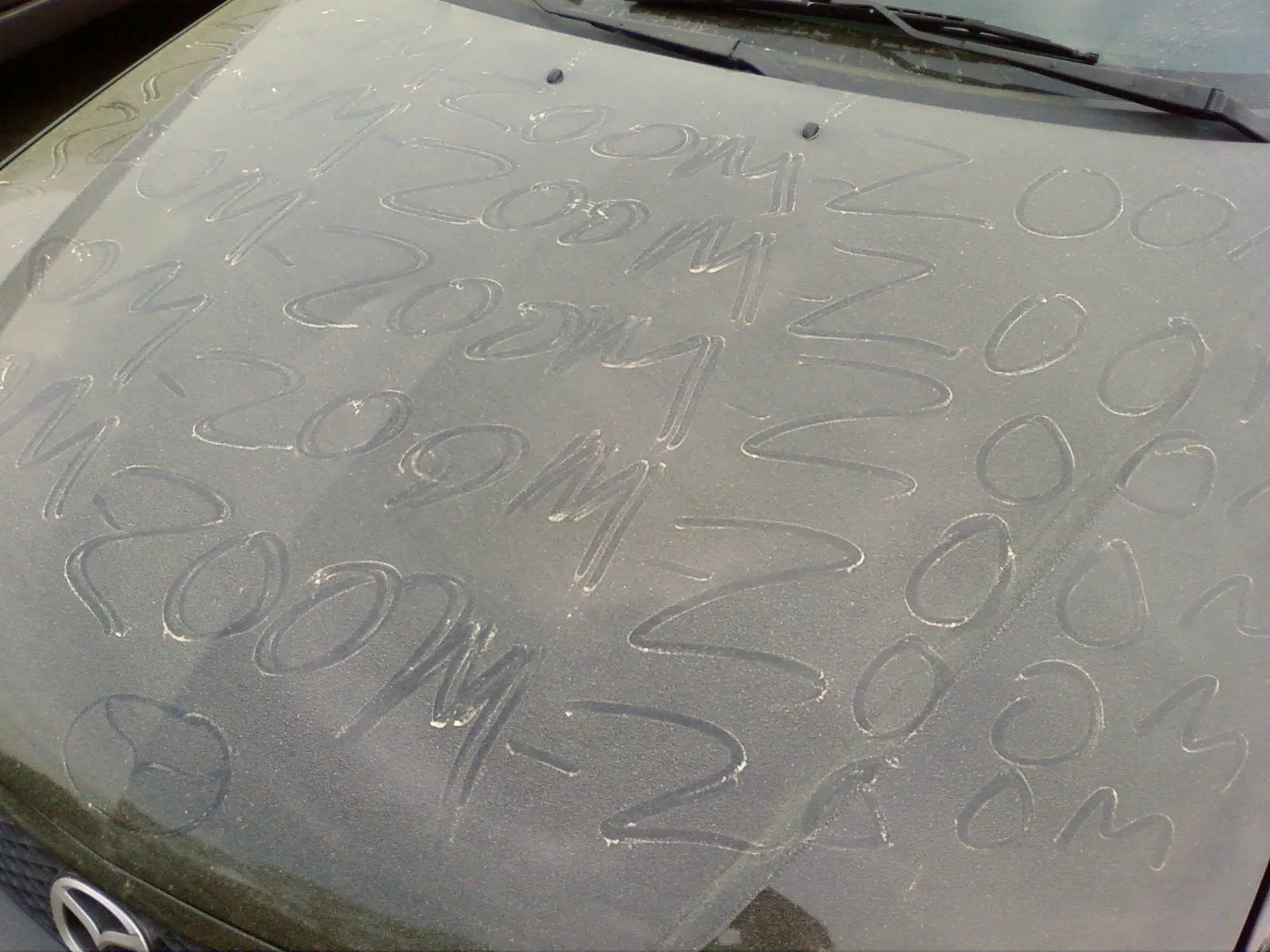 Photo0001.webp