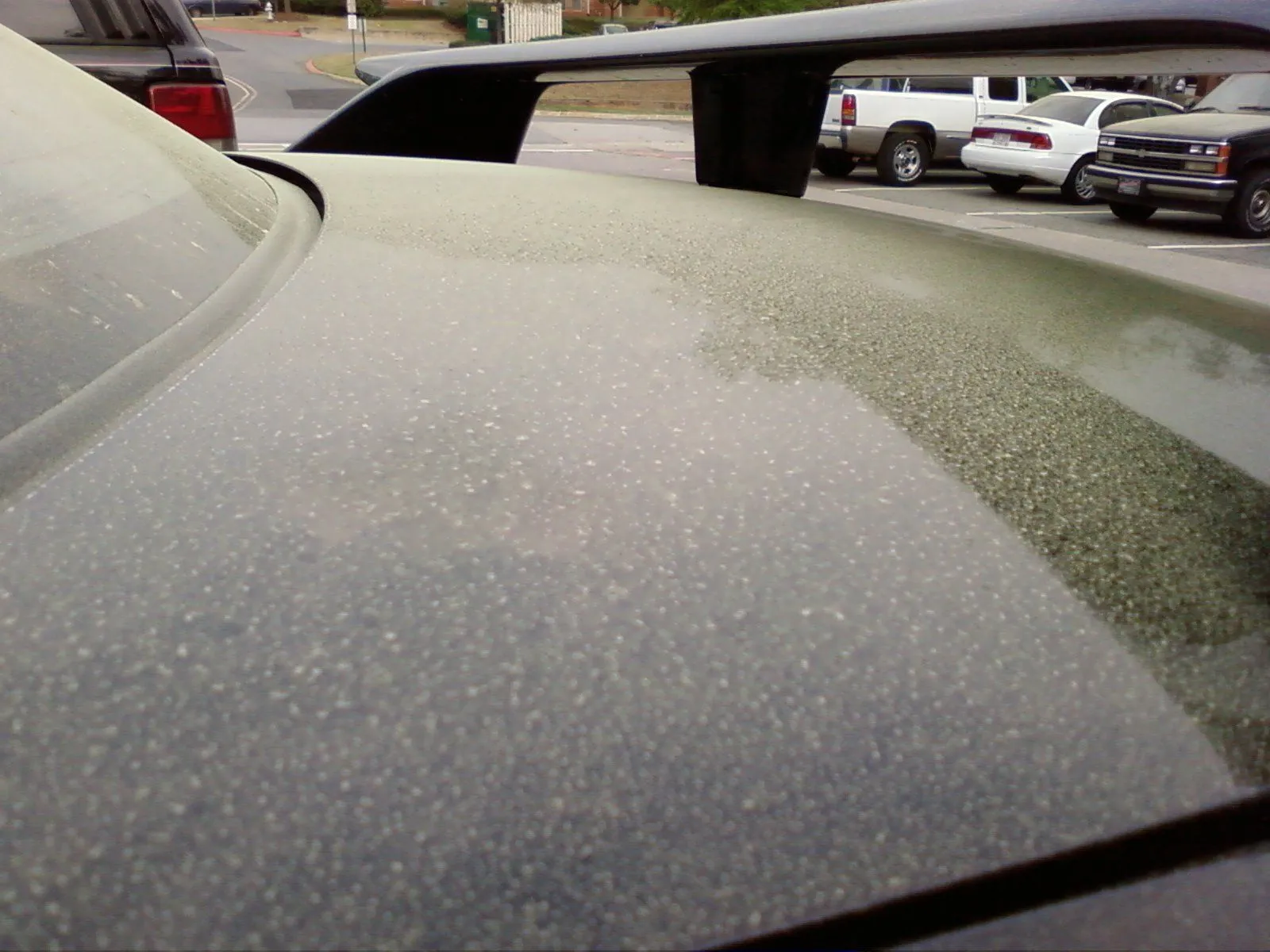 Photo0002.webp